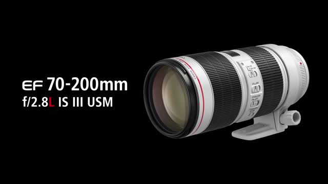 Canon EF 70-200mm F2.8L IS III USM Objektiv – Das Profi-Telezoom Mit 77mm Filtergewinde, Schwarz