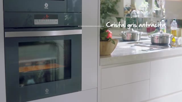 Horno Multifunción Vapor Balay 3HA5888A1 Pirólisis y aqualísis Prem