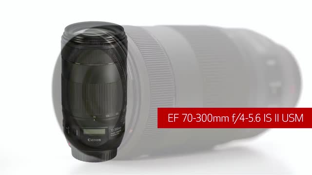 Canon EF 4,0/300 L IS USM + Très Bien (267611) 4960999213804